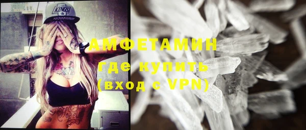 стаф Вязьма