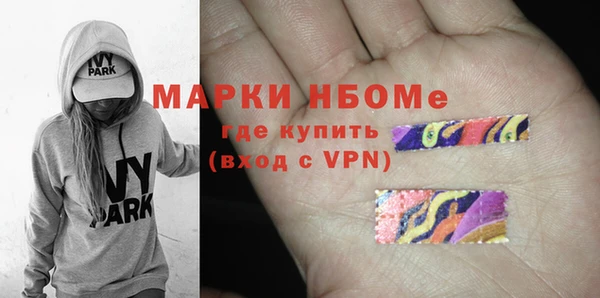 стаф Вязьма