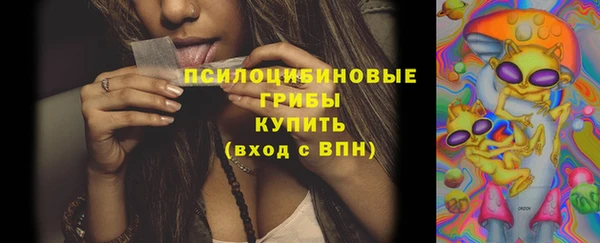 mdpv Горняк