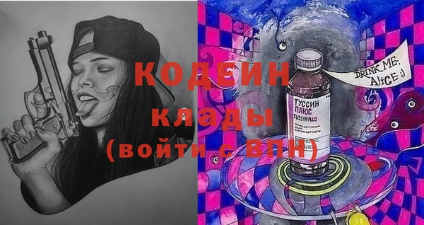 стаф Вязьма
