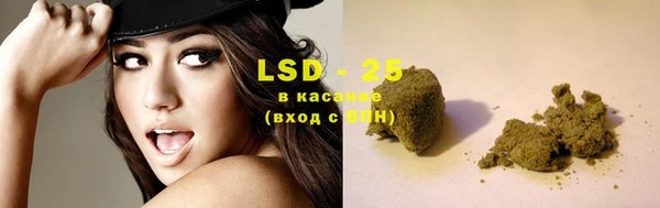 стаф Вязьма