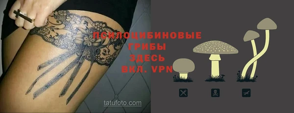 mdpv Горняк
