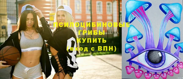 альфа пвп Горно-Алтайск
