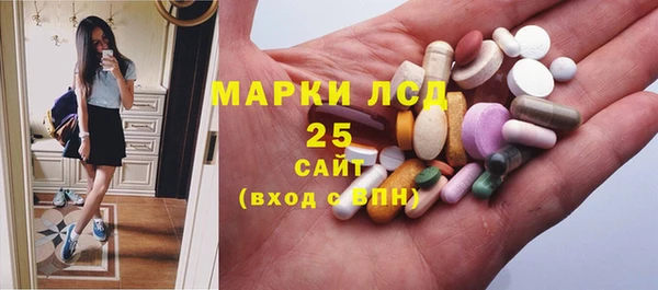 стаф Вязьма