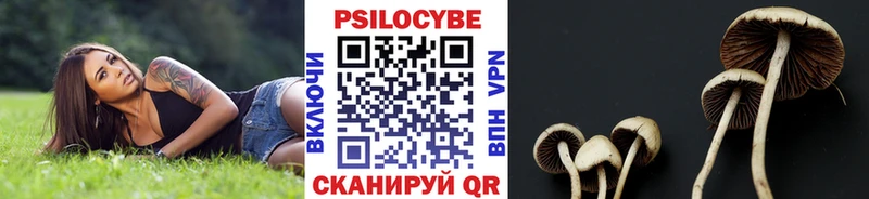 Псилоцибиновые грибы Cubensis Баксан