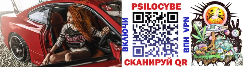 Псилоцибиновые грибы Cubensis Купить Баксан